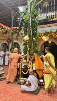 Dhwajarohana - 165th Shri Chitrapur Math Rathotsava 2026 - Day 1 (28th March 2026) 